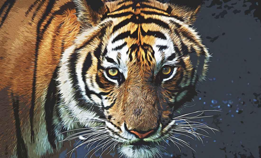 2022 ist das Jahr des Tigers mit viel Mut